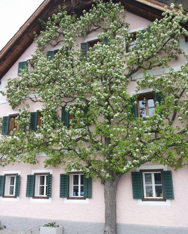 Apartment Luise Hallstatt Quarto foto